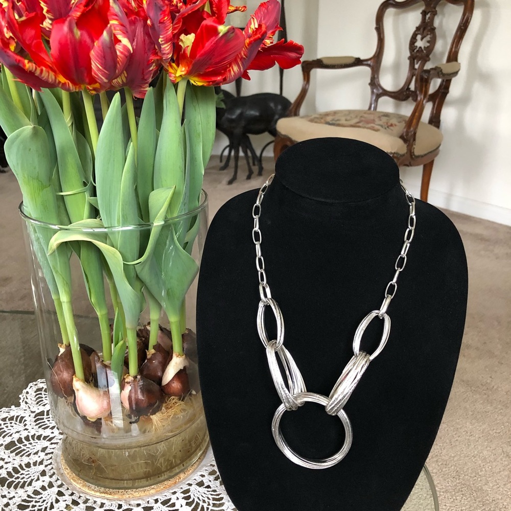 Gorgeous Silver Rings Chain Necklace